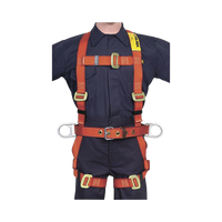 Arnés de Cuerpo Completo para Parar Caídas y Posicionamiento (Unitalla).