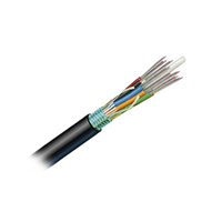 Cable de Fibra Óptica 6 Hilos, OSP (Planta Externa), Armada, Gel, HDPE (Polietileno de Alta Densidad), Multimodo OM3 50/125 Optimizada, 1 Metro (3.28 Pies)