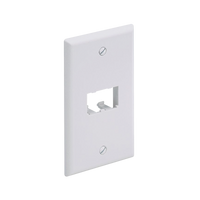 Placa de Pared Vertical Clásica, Salida Para 2 Puertos Mini-Com, Color Blanco