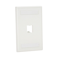 Placa de Pared Vertical Clásica, Salida Para 1 Puerto Mini-Com, Con Espacios Para Etiquetas, Color Blanco