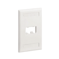 Placa de Pared Vertical Clásica, Salida Para 2 Puertos Mini-Com, Con Espacios Para Etiquetas, Color Blanco Mate