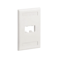 Placa de Pared Vertical Clásica, Salida Para 2 Puertos Mini-Com, Con Espacios Para Etiquetas, Color Blanco