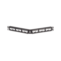 Panel de Parcheo Modular Mini-Com (Sin Conectores), Angulado, Sin Blindaje, Con Etiqueta y Cubierta, de 24 Puertos, 1UR