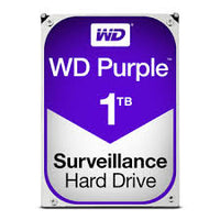 Disco Duro WESTERN DIGITAL WD10PURZ