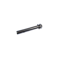 Tornillo expansor M8/70 de acero inoxidable