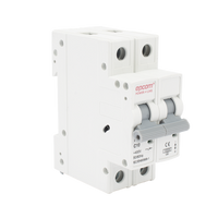 Protección Térmica/ Interruptor 2P, 10 A,  Corriente Alterna  400 Vca para Aplicación Fotovoltaica Montaje Riel DIN