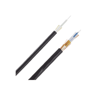 Cable de Fibra Óptica de 6 Hilos, Monomodo OS2, Interior/Exterior, Loose Tube 250um, No Conductiva (Dieléctrica), OFNR (Riser), Precio Por Metro