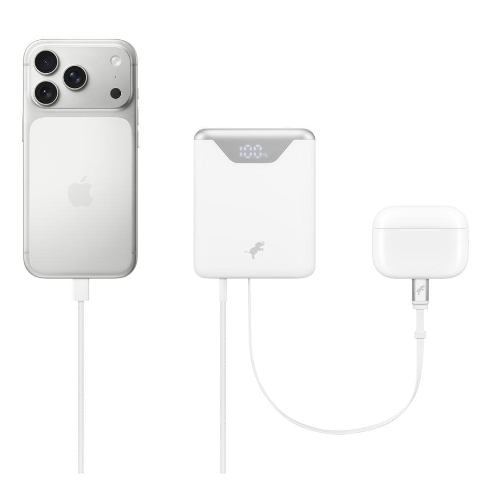 Cargador de pared de 30 W Wally Pro Stretch de Nimble
