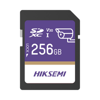 Memoria SD Clase 10 de 256 GB / Especializada Para Videovigilancia