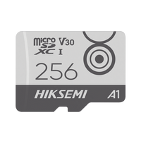 Memoria MicroSD / Clase 10 de 256 GB / Especializada Para Videovigilancia Movil (Uso 24/7) / Soporta Altas Temperaturas / 95 MB/s Lectura / 55 MB/s Escritura