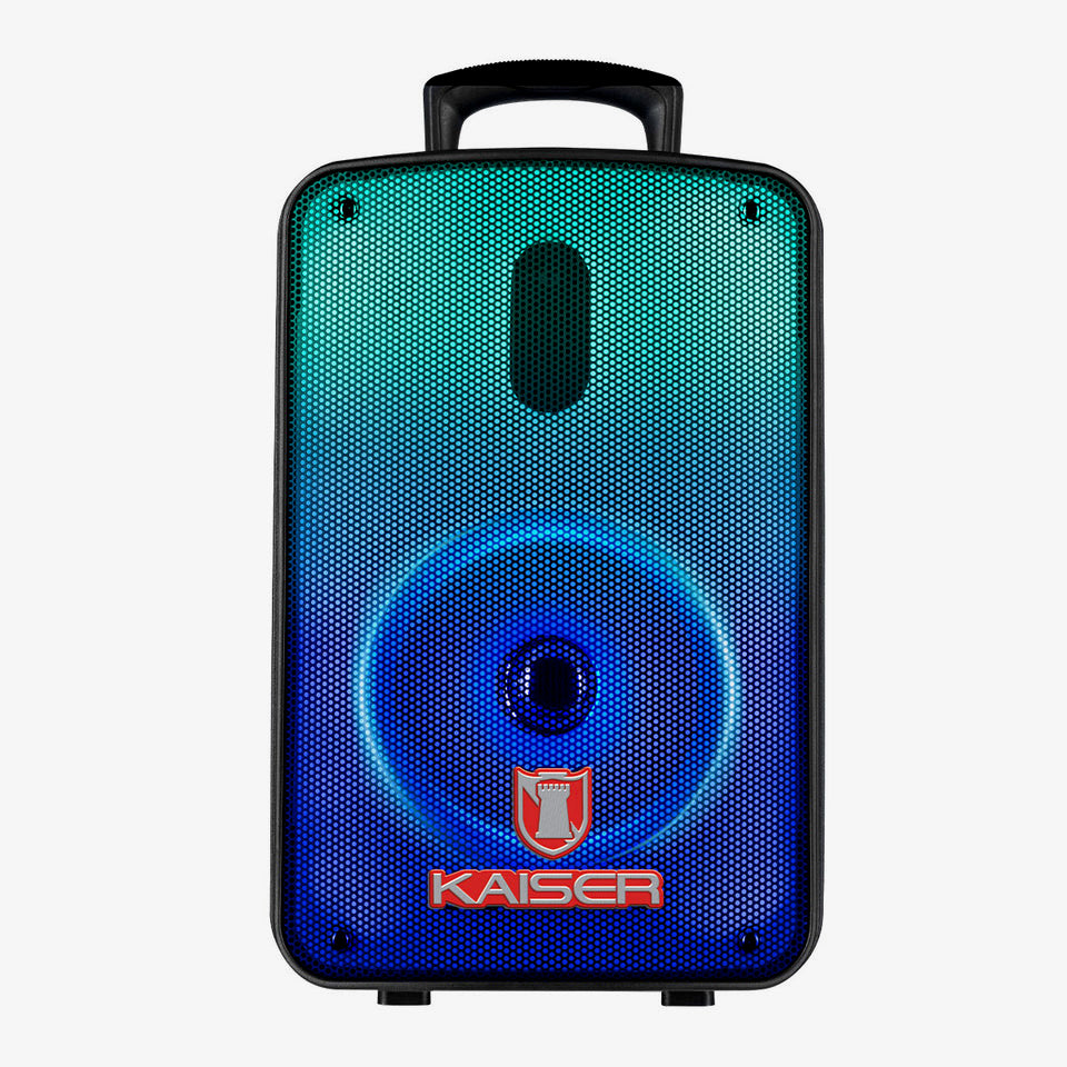 Bafle profesional 8