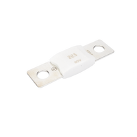 Mega Fuse 225A / 80V