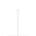 Cargador MagSafe (1 m)