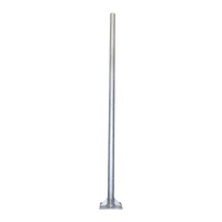 Poste de Acero Galvanizado para Videovigilancia, 3 m de altura.