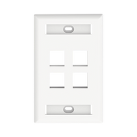 Placa de Pared Vertical, Salida Para 4 Puertos Keystone, Con Espacios Para Etiquetas, Color Blanco