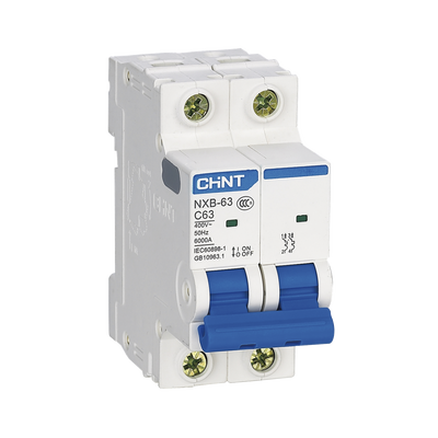 Pastilla para Riel Din, 2 Polos, 20 Amp, Vca:110/415v, 6kA, Catálogo: NXB632PC20.