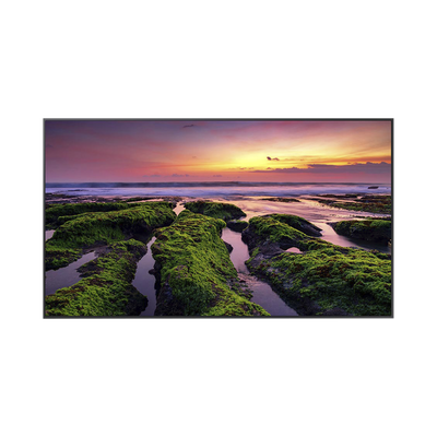 Pantalla Profesional LED de 65