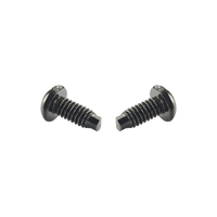 Tornillo #12-24, 13 mm de largo, para uso con Racks de 2 o 4 postes Panduit, de Acero, Bolsa de 100pz