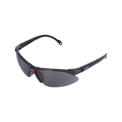 Lentes de seguridad modelo 