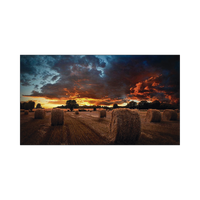Pantalla Profesional de 46" para Video Wall / Full HD (1080p) / Display port - HDMI - DVI / 24/7 / soporta conexion Daisy chain por DP / Bisel Ultra Delgado de 2.25mm / Compatible VESA 600x400