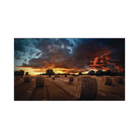 Pantalla Profesional de 55" para Video Wall / Full HD (1080p) / Display port - HDMI - DVI / 24/7 / soporta conexion Daisy chain por DP / Bisel Ultra Delgado de 2.3mm  / Compatible VESA 600x400