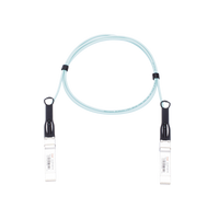 Jumper de fibra con  MINI-GBIC SFP+ 10GB 1m