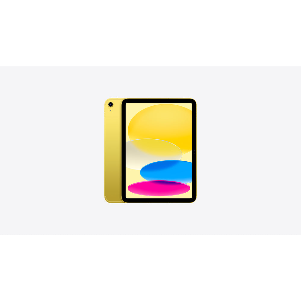 iPad