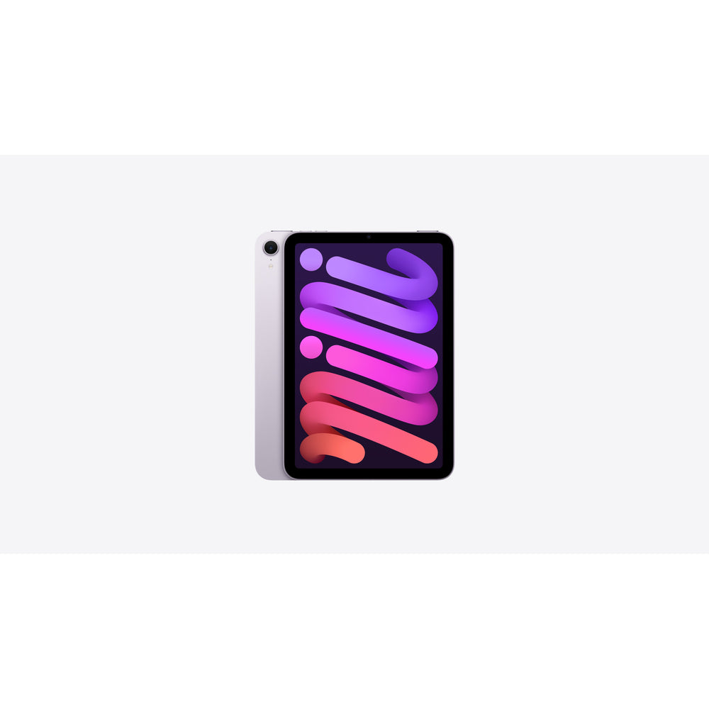iPad mini