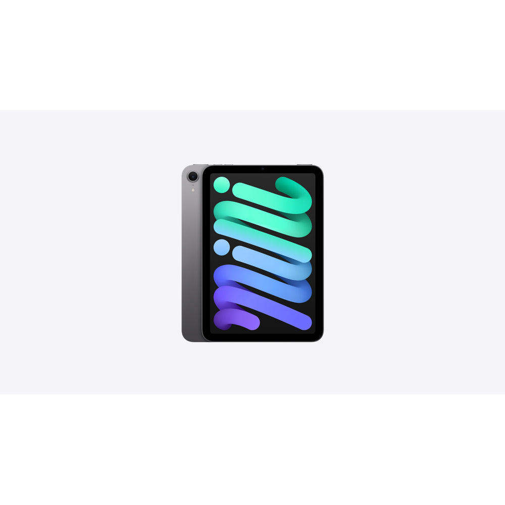 iPad mini