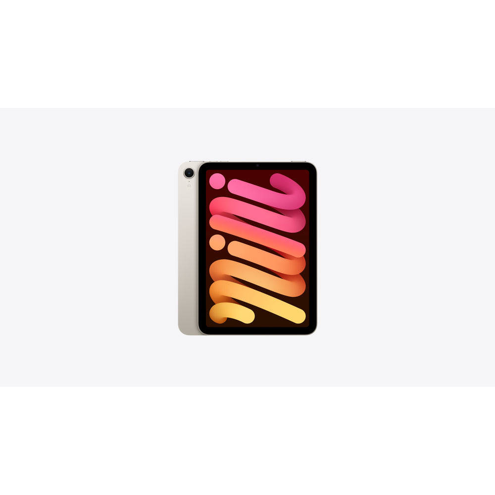 iPad mini