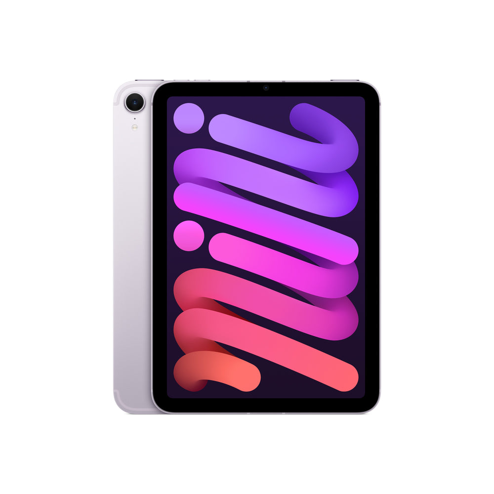 iPad mini