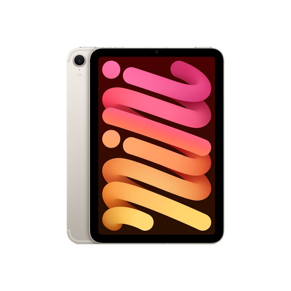 iPad mini