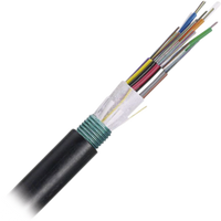 Cable de Fibra Óptica de 48 Hilos, OSP (Planta Externa), Armada, 250um, Monomodo OS2, Precio Por Metro