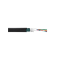 Cable de Fibra Óptica de 24 Hilos, Monomodo OS2, Interior/Exterior, Armada, Loose Tube 250um, OFCP (Plenum), Precio Por Metro