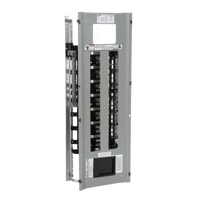 Interior de tablero P1, para montar interruptores BL/BQD, 250 A, 3F, 4H, 220/127 ó 480/277 V c.a., 42 Circuitos, Barras de Aluminio