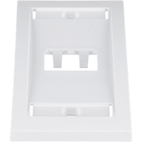 Placa de Pared Vertical Ejecutiva, Salida Para 2 Puertos Mini-Com, Con Espacios Para Etiquetas, Color Blanco