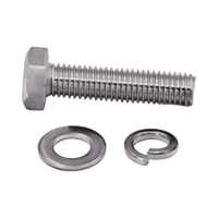 Tornillo M6 x 1.0 mm con Arandela Plana y Arandela de Presión para baterías de 12 V de 28-80 Ah.