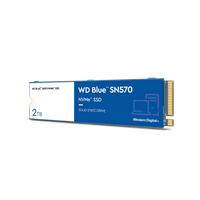 SSD WD Blue SN570 2TB NVMe M.2 2280 - vista frontal